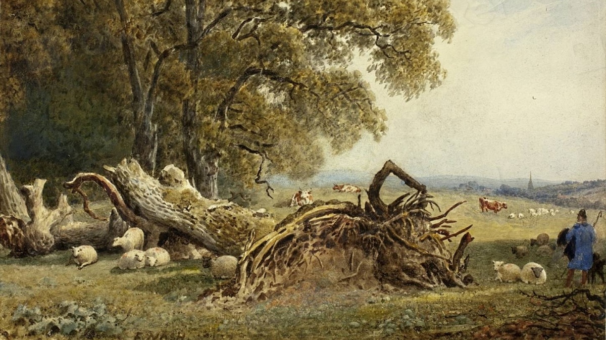     Фредерик Нэш. Овцы, коровы и пастух около выкорчеванного дерева. 1802   
undefined