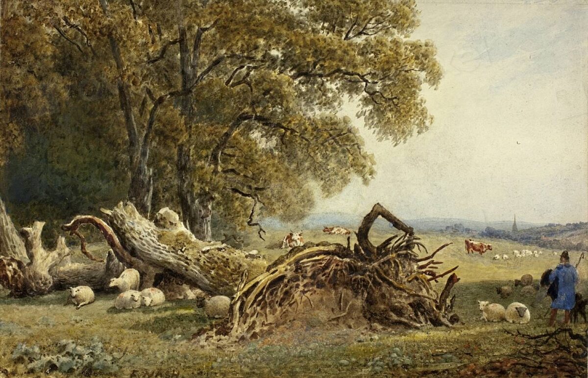     Фредерик Нэш. Овцы, коровы и пастух около выкорчеванного дерева. 1802   
undefined