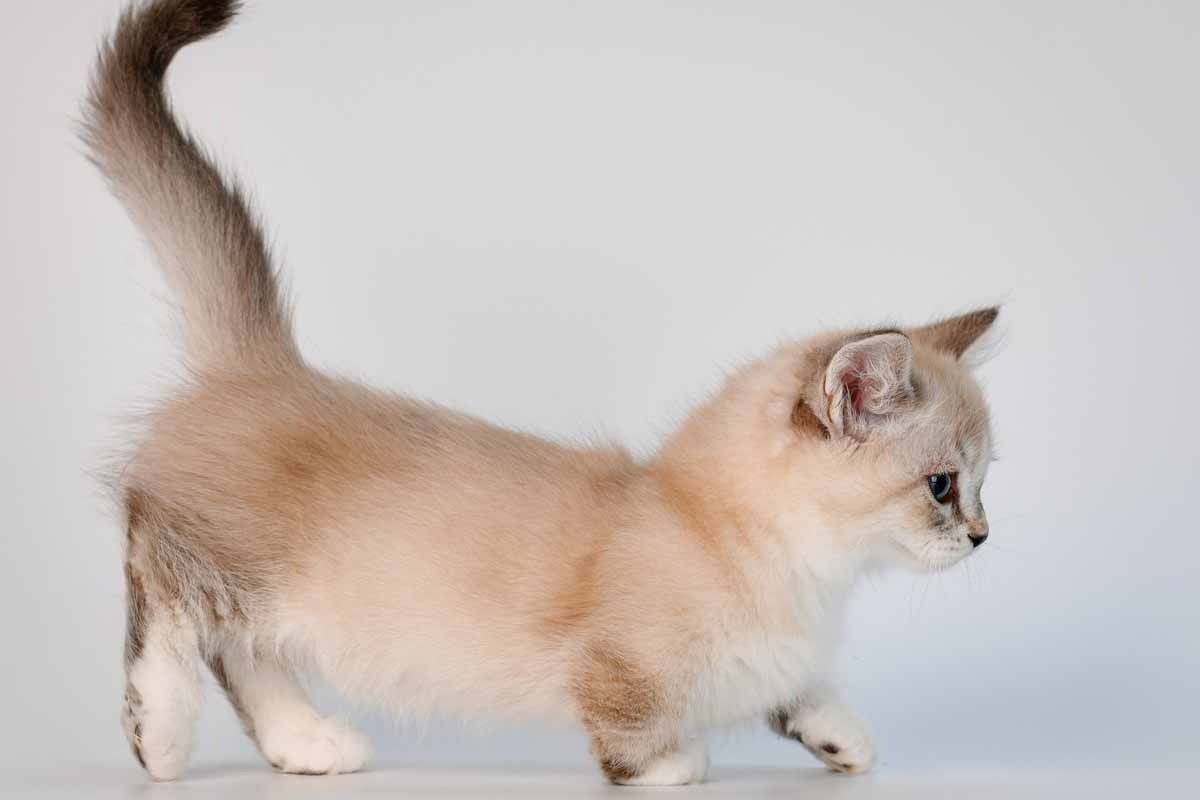 Фото с сайта: https://proholdingtorg.ru/job/K8tirj-VA_F5QIvWljx7aP4YpWENHFytaKTCoTZzmhM