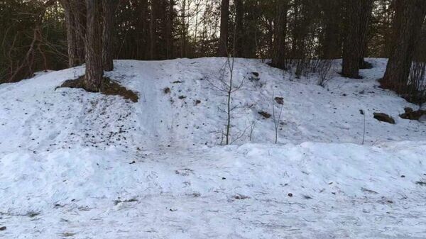    © Telegram / Следственный комитет Беларуси