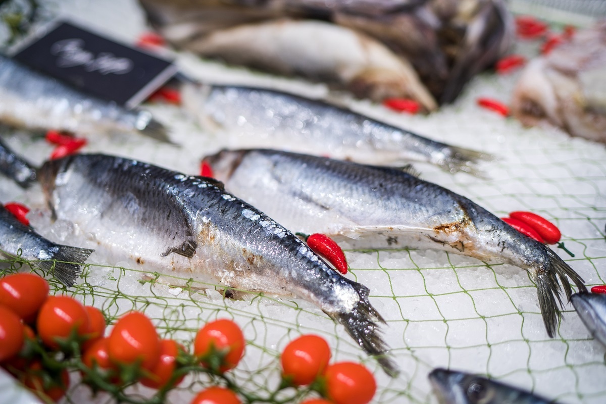 Фото: Александр Плонский / "Агроэксперт"