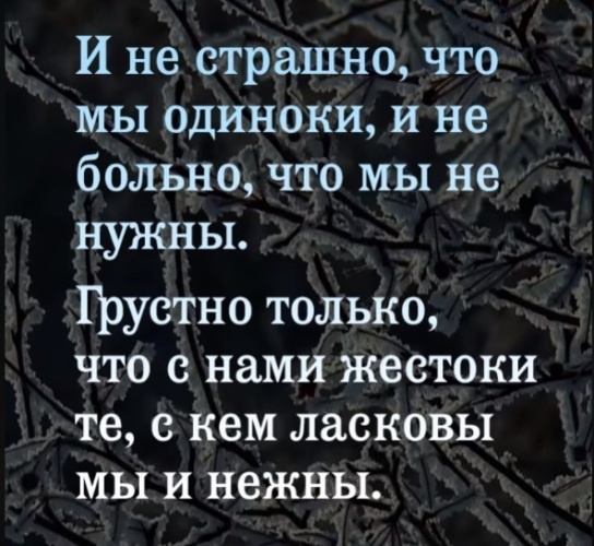 Изображение: интернет, открытый доступ.