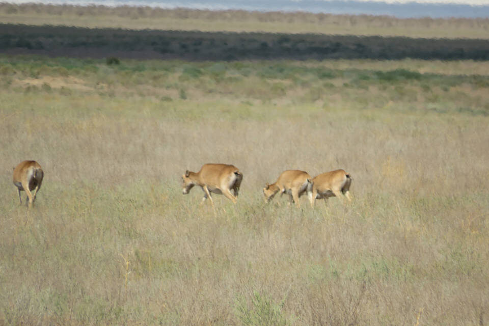    Фото: Администрация Волгоградской области
