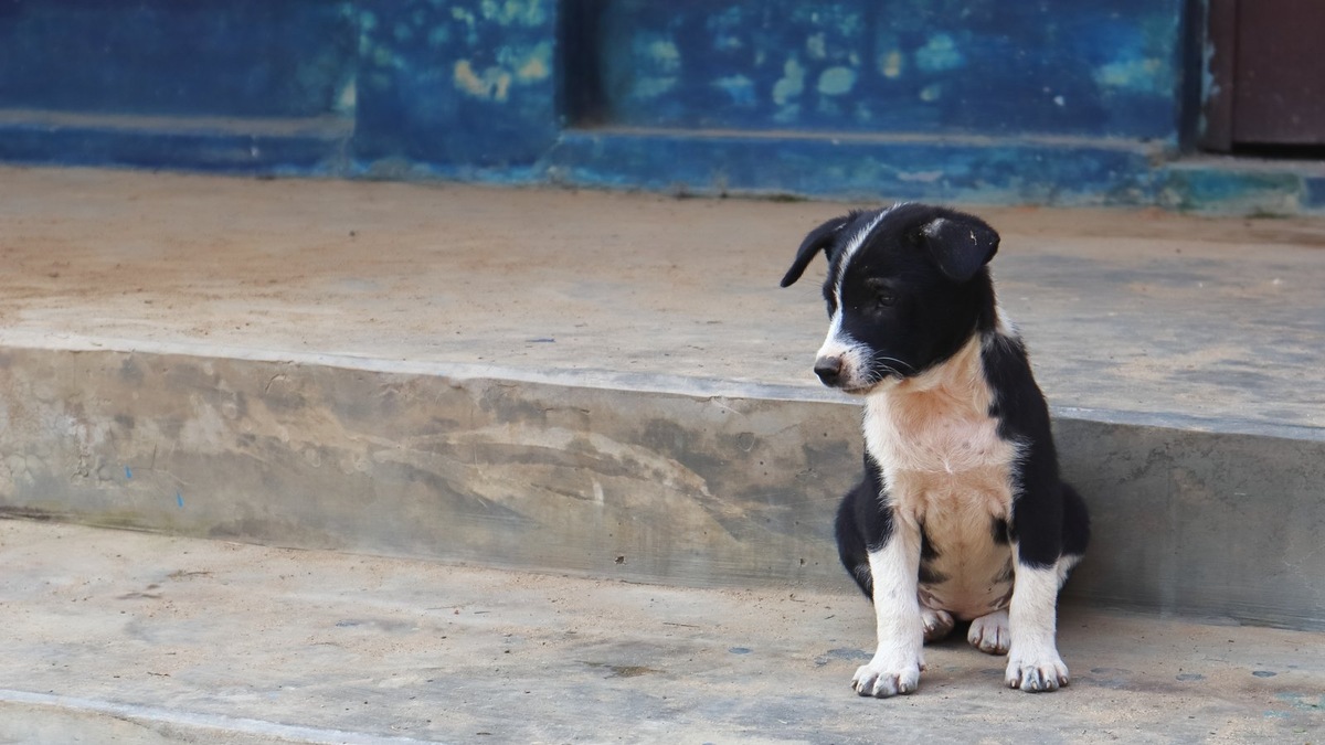    Фото несет иллюстративный характер