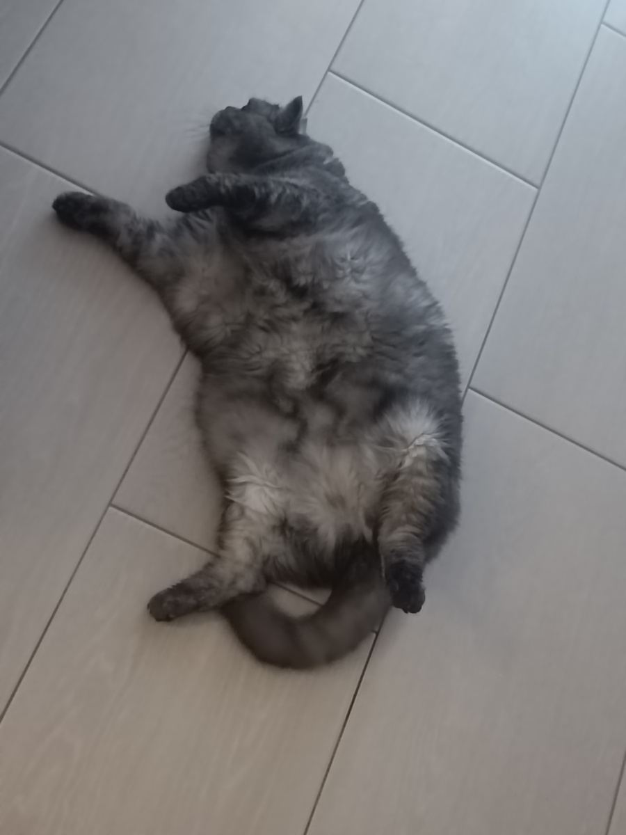 Как будто она тоже блинов налопалась🤩 