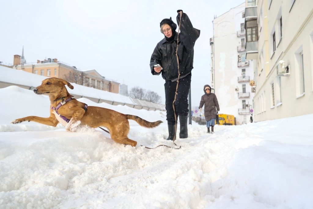    Фото © АГН «Москва» / Ярослав Чингаев