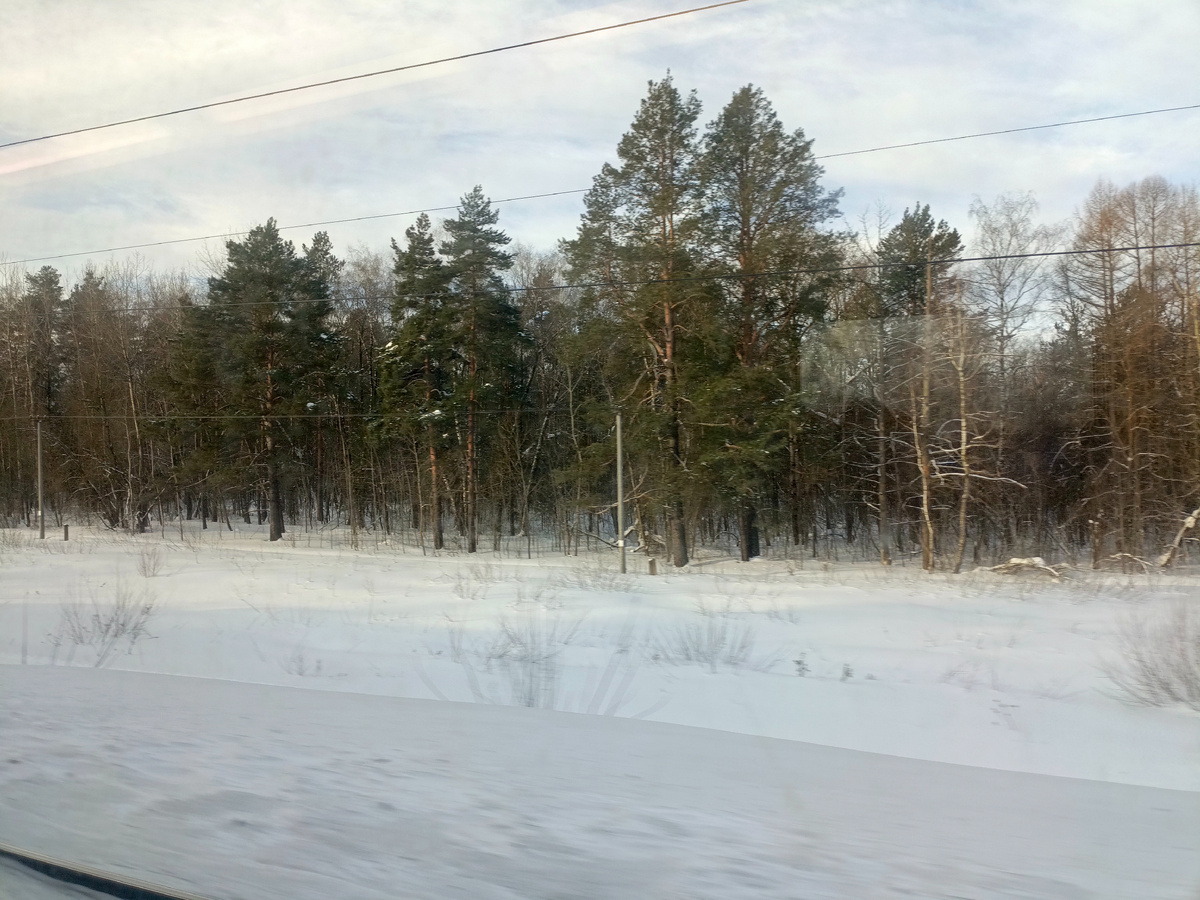 Весна не за горами. По дороге в Коломну.