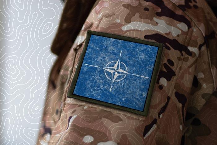 Обложка © Shutterstock / FOTODOM / Fly Of Swallow Studio