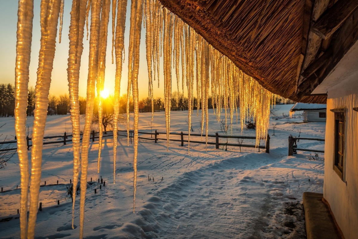    Фото: iStock/ vovashevchuk