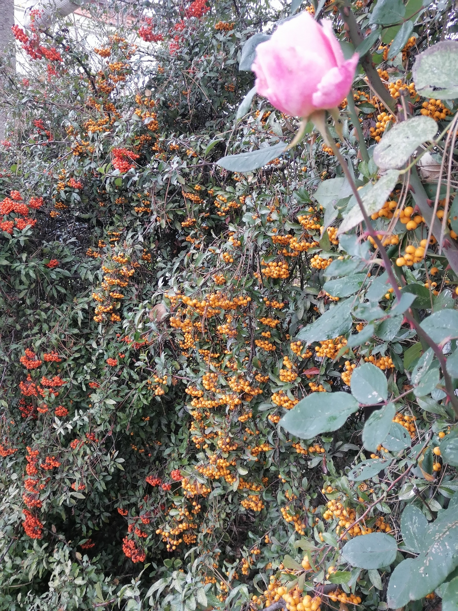 22 декабря 2025 г. 