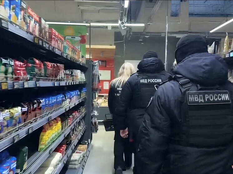     Полицейские искали нелегальных работников в торговых залах и складских помещениях. Фото: пресс-служба ГУ МВД России по Санкт-Петербургу и Ленобласти