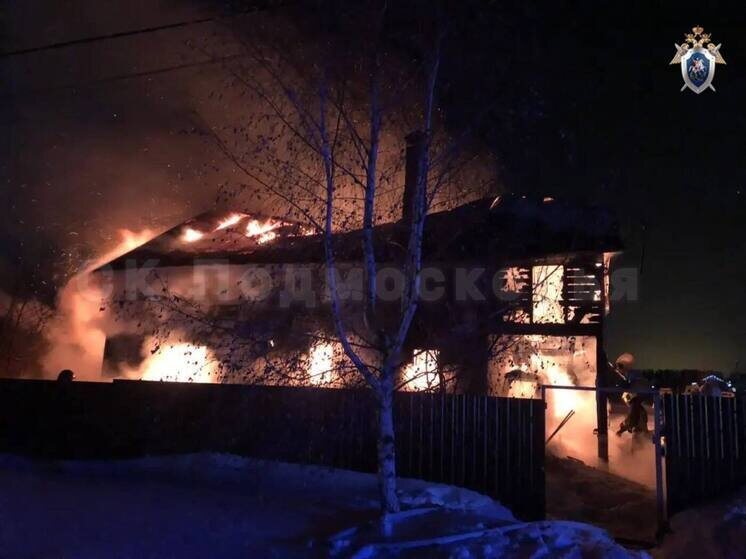     Фото: СК Подмосковья