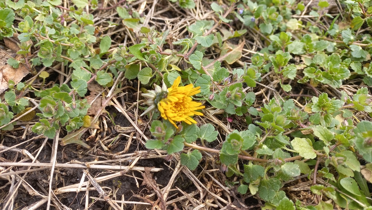 Все фото из семейного архива защищены авторским правом ©