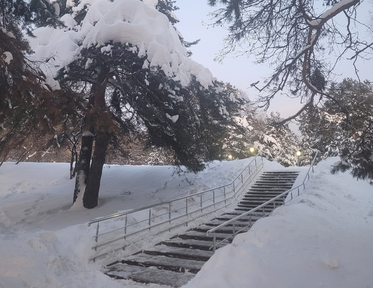 Автор - Саленкова Татьяна