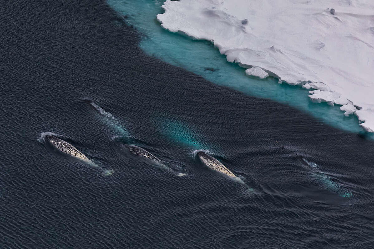 Фото: пресс-служба ПАО «Газпром нефть». Источник: media.gazprom-neft.ru