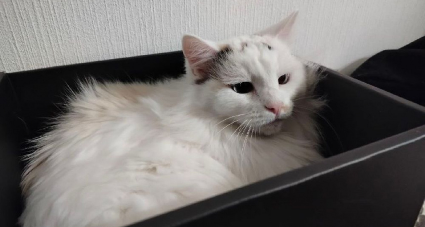    Фото из архива