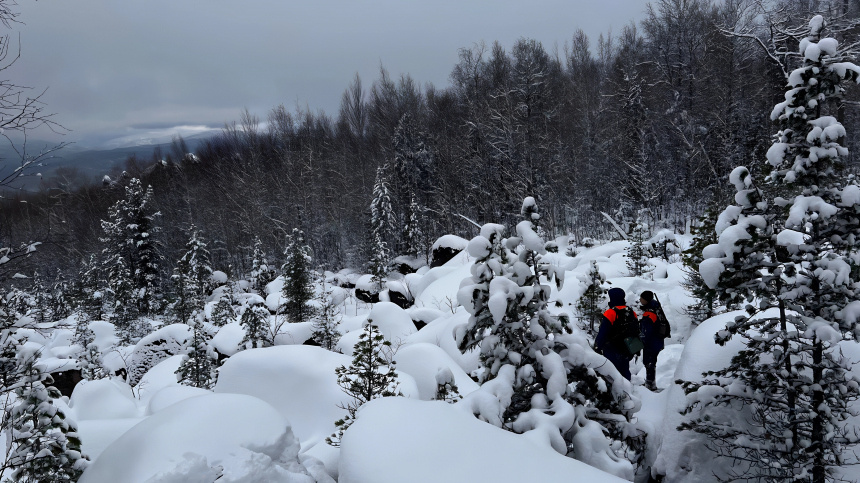    Фото: Telegram/ДПСО «ЛизаАлерт» Красноярского края/lizaalert24krsk