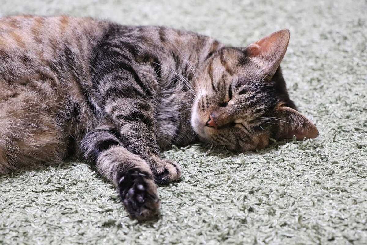 Фото с сайта: https://www.liveinternet.ru/users/tatyana65-6/post506337993/