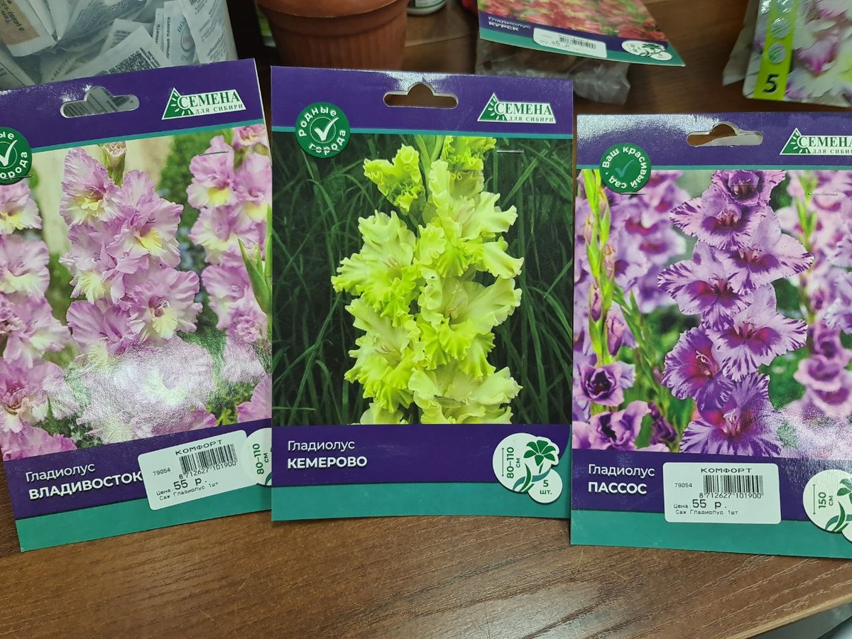 В галерее 2 фото. Особенно красивые сорта с названием городов России