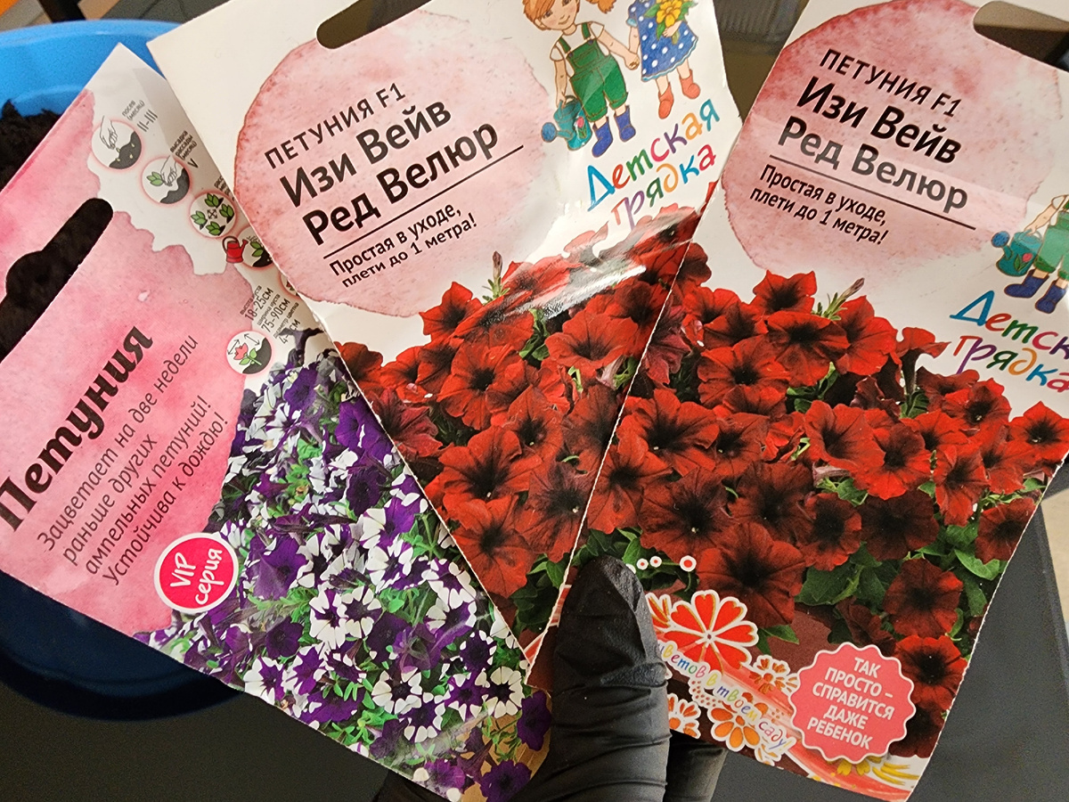 Семена Гибридов (F1) цветут более обильно и устойчивы к болезням и неблагоприятным погодным условиям