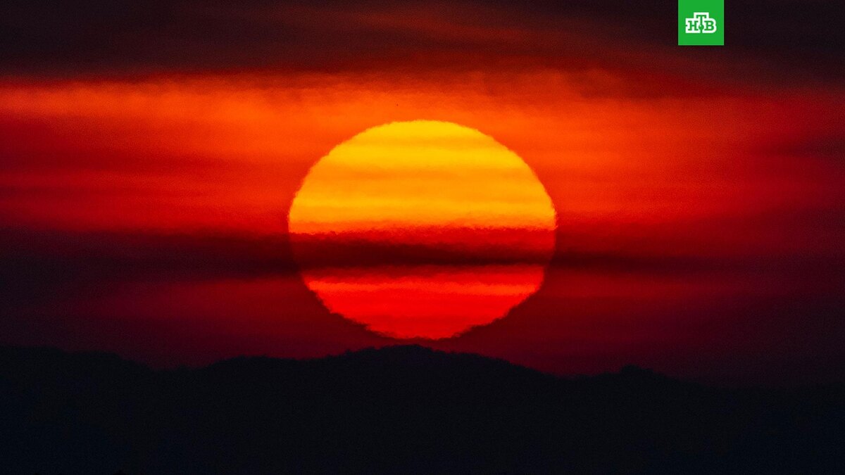    Фото: РИА Новости © 2026, Евгений Биятов