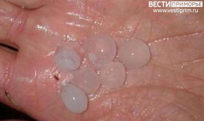    Источник фото: