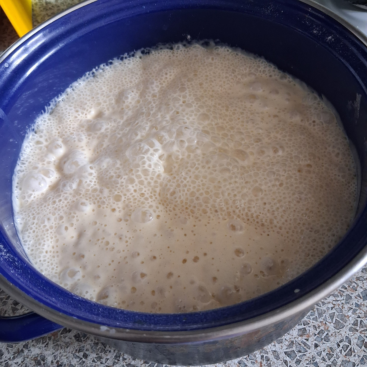 Опара для блинов. Фото автора. 