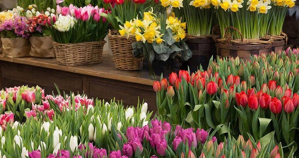 Шито белыми нитками: ростовские соцсети разгоняют цены на цветы