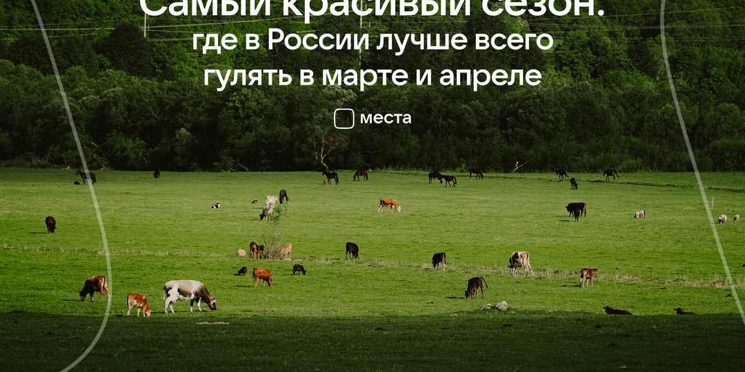 Самый красивый сезон: где в России лучше всего гулять в марте и апреле