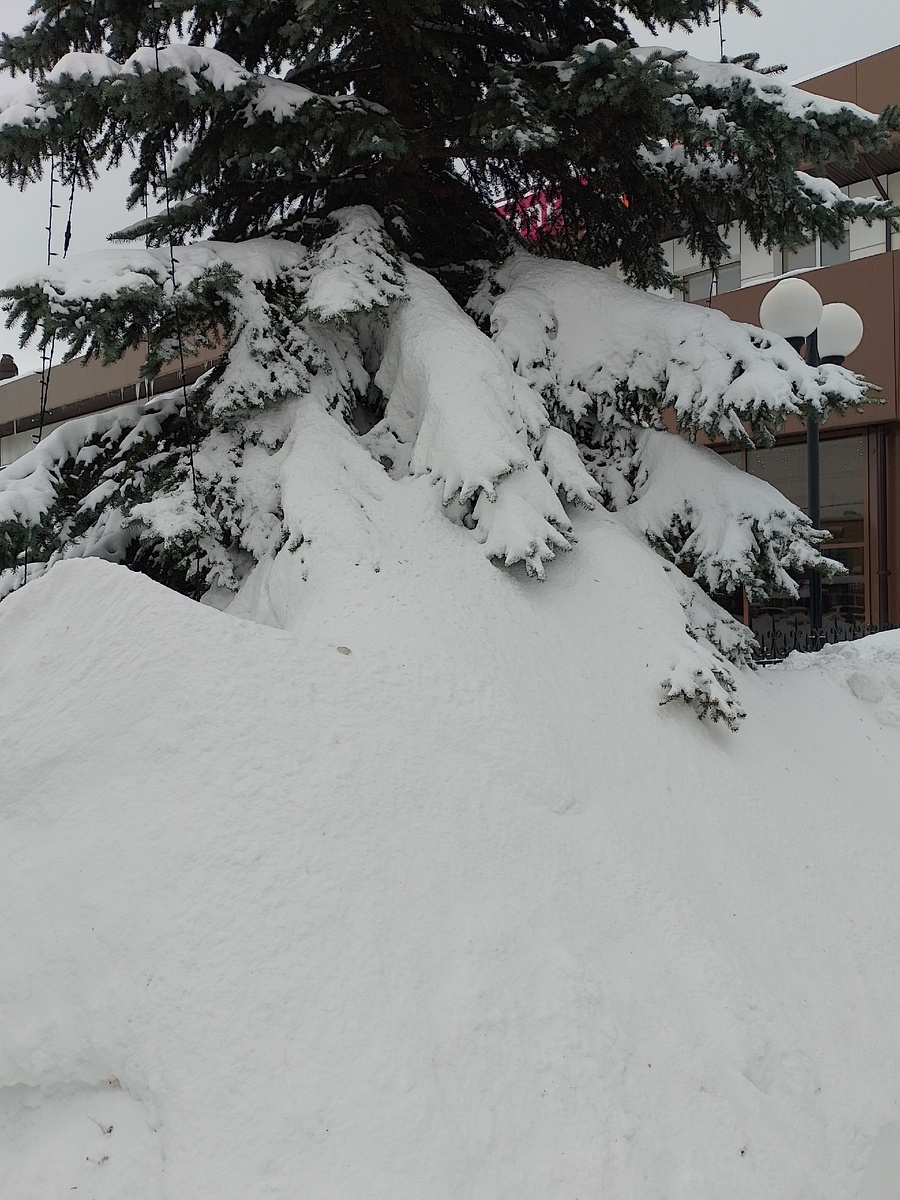 Фото автора.