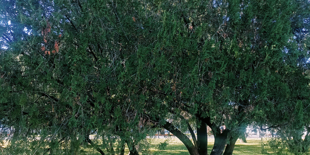 Сто + способов улучшить свою жизнь.