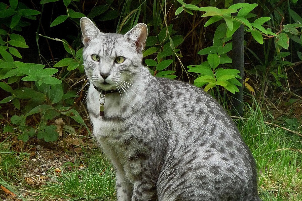 Фото с сайта: https://dzen.ru/a/ZGX3BOBeegvH2U5y