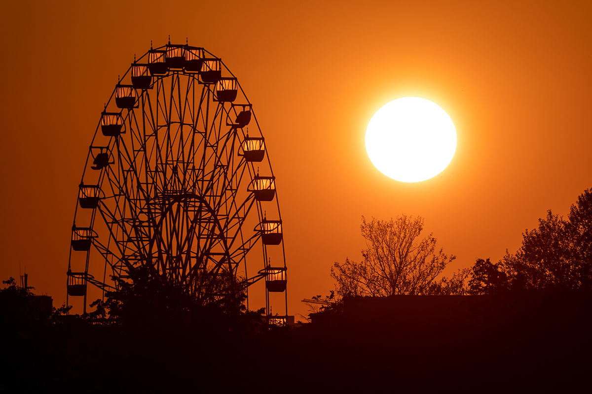    Фото: Mr Dmitry / Shutterstock.com
