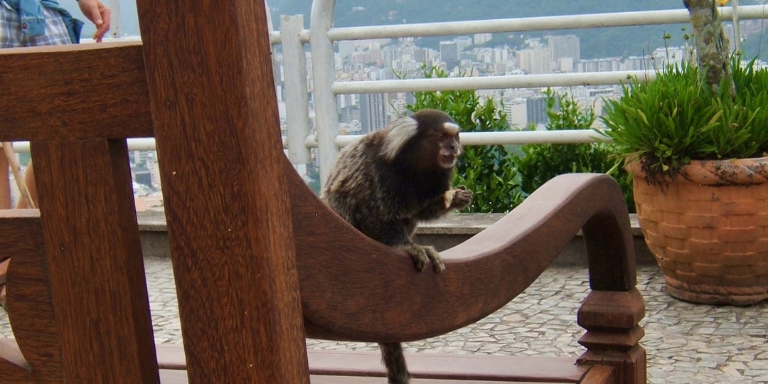 Королевские Педру и красивые Педро (часть первая о Бразилии)