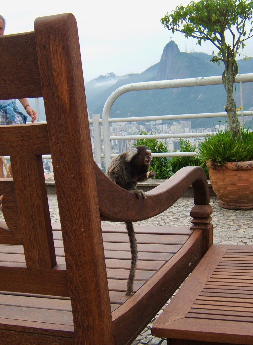 Гора Корковаду и построенная на её вершине знаменитая статуя Христа (1922 по 1931 гг). Здесь часто облачно, но если облака рассеются, то виды — потрясающие