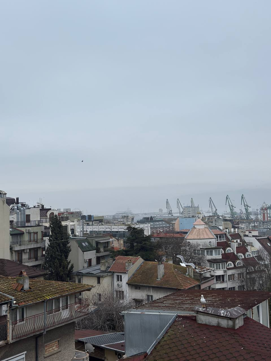 Болгария, Варна. 20.02.2006. Фото моей подруги Наталии.