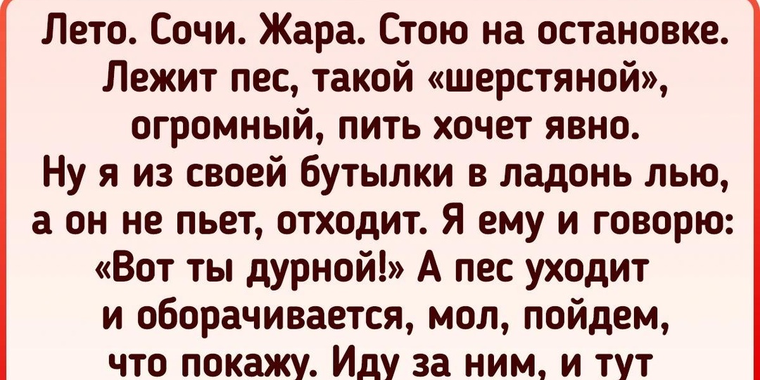 Вы думаете, вы умнее? 15+ историй о животных, которые легко переиграли людей