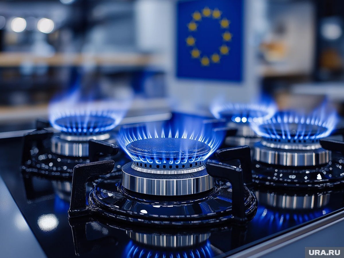     Лидер АдГ Вайдель призвала ФРГ вернуться к импорту энергоносителей из России