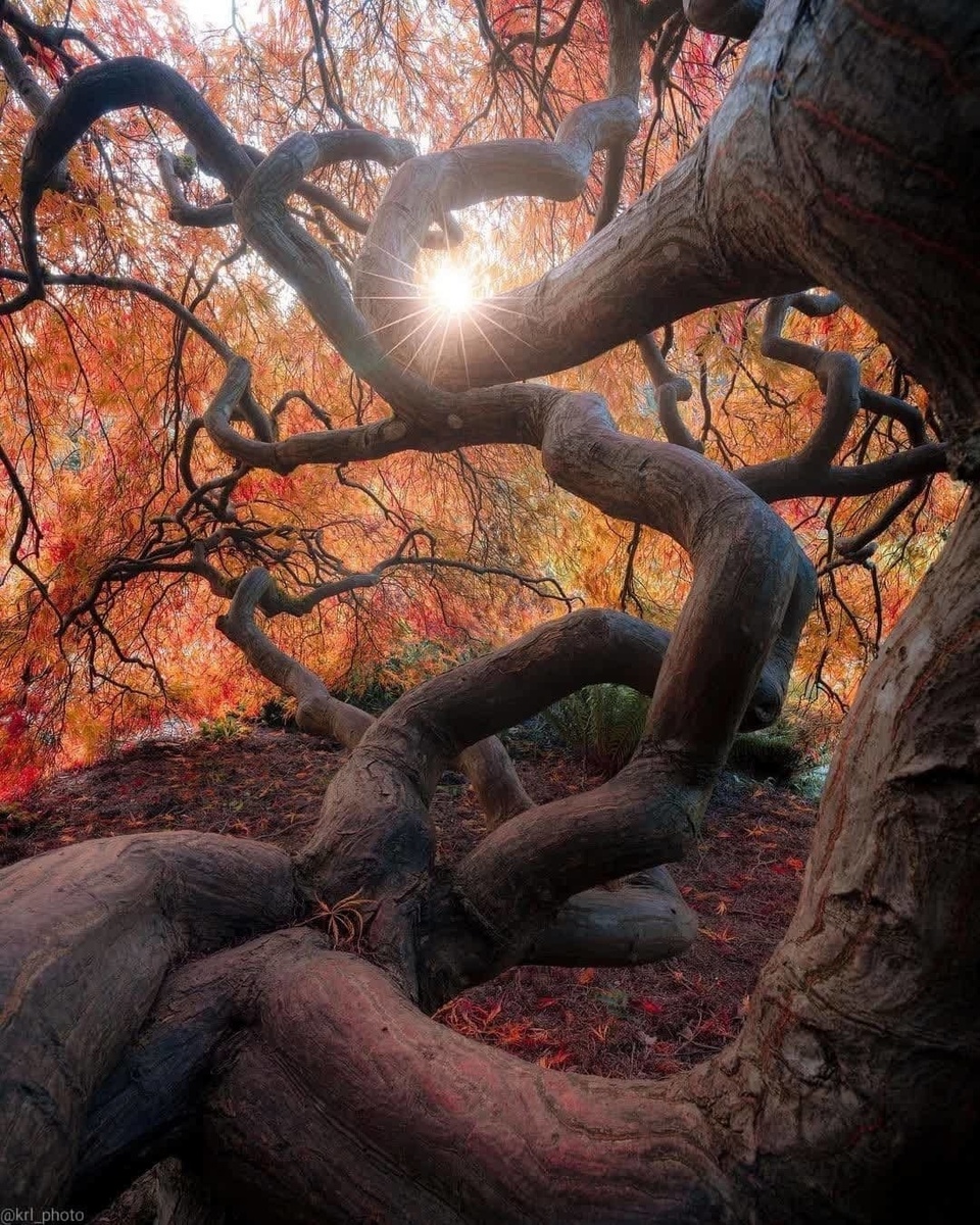 Женское: кручу, верчу, запутать хочу)))