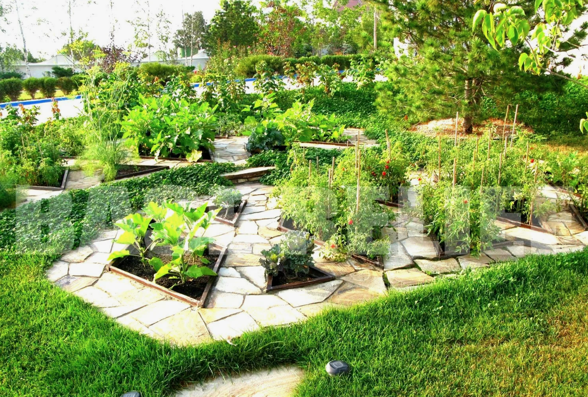 Фото из Яндекс. Врезные грядки.