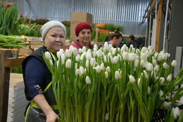 Листайте вправо, чтобы увидеть больше изображений