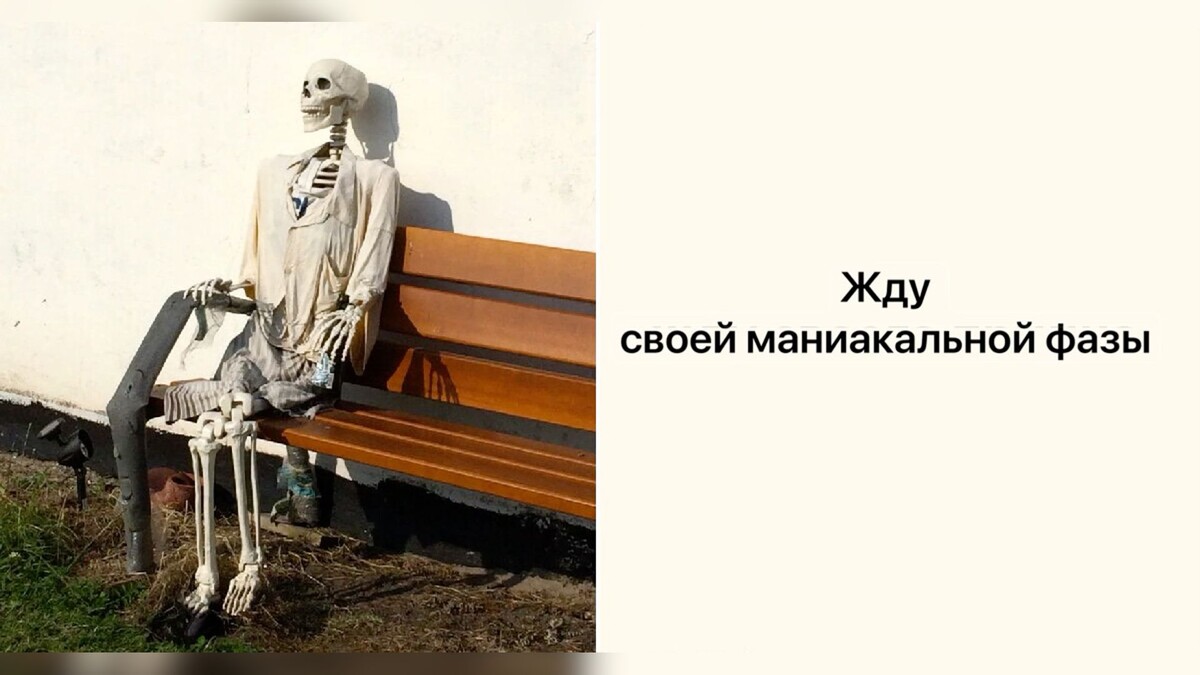 Яндекс картинки