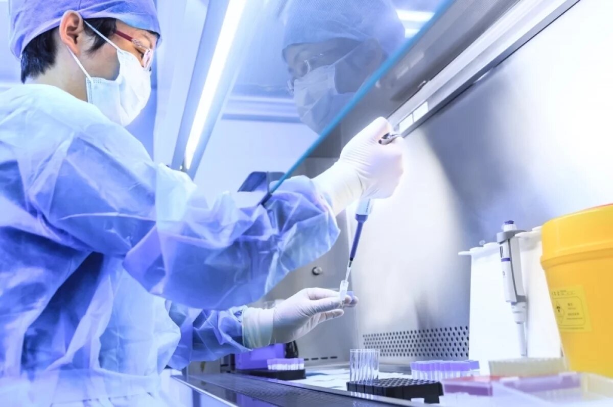    Ученые разработали генетически модифицированные человеческие моноклональные антитела, препятствующие развитию вируса.