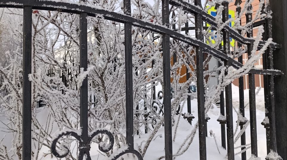 Как обычно, сходила к Юле за красивыми бровями