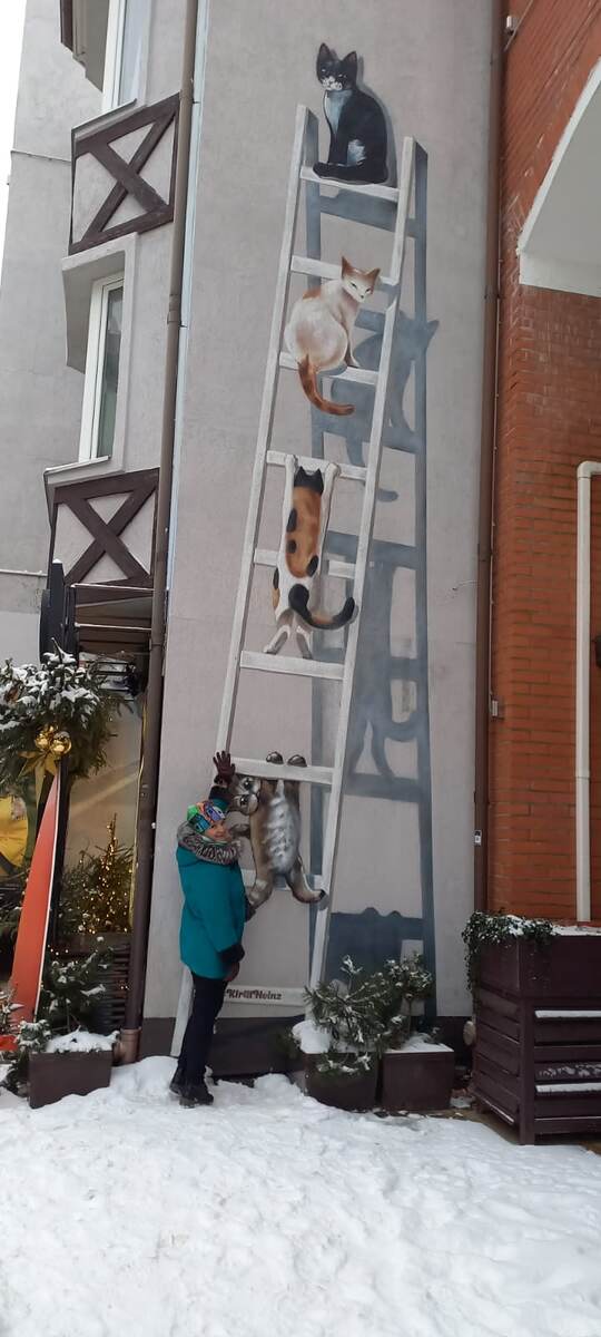 ГОРОД КОШЕК