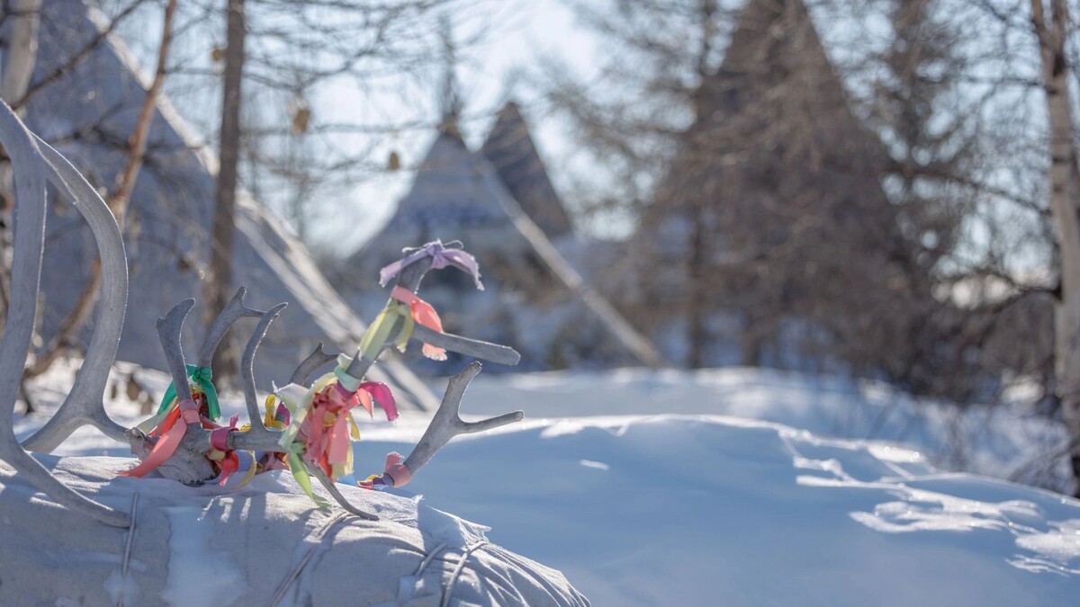   Фото: Сергей Зубков/«Ямал-Медиа»