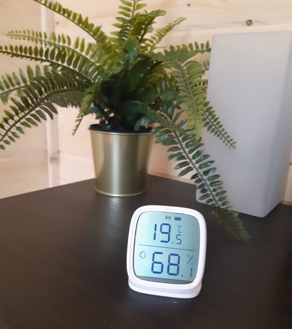 Это не пальма ))