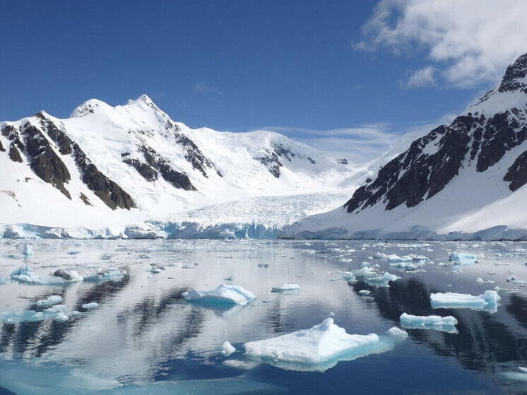     Фото: нейросеть Алиса