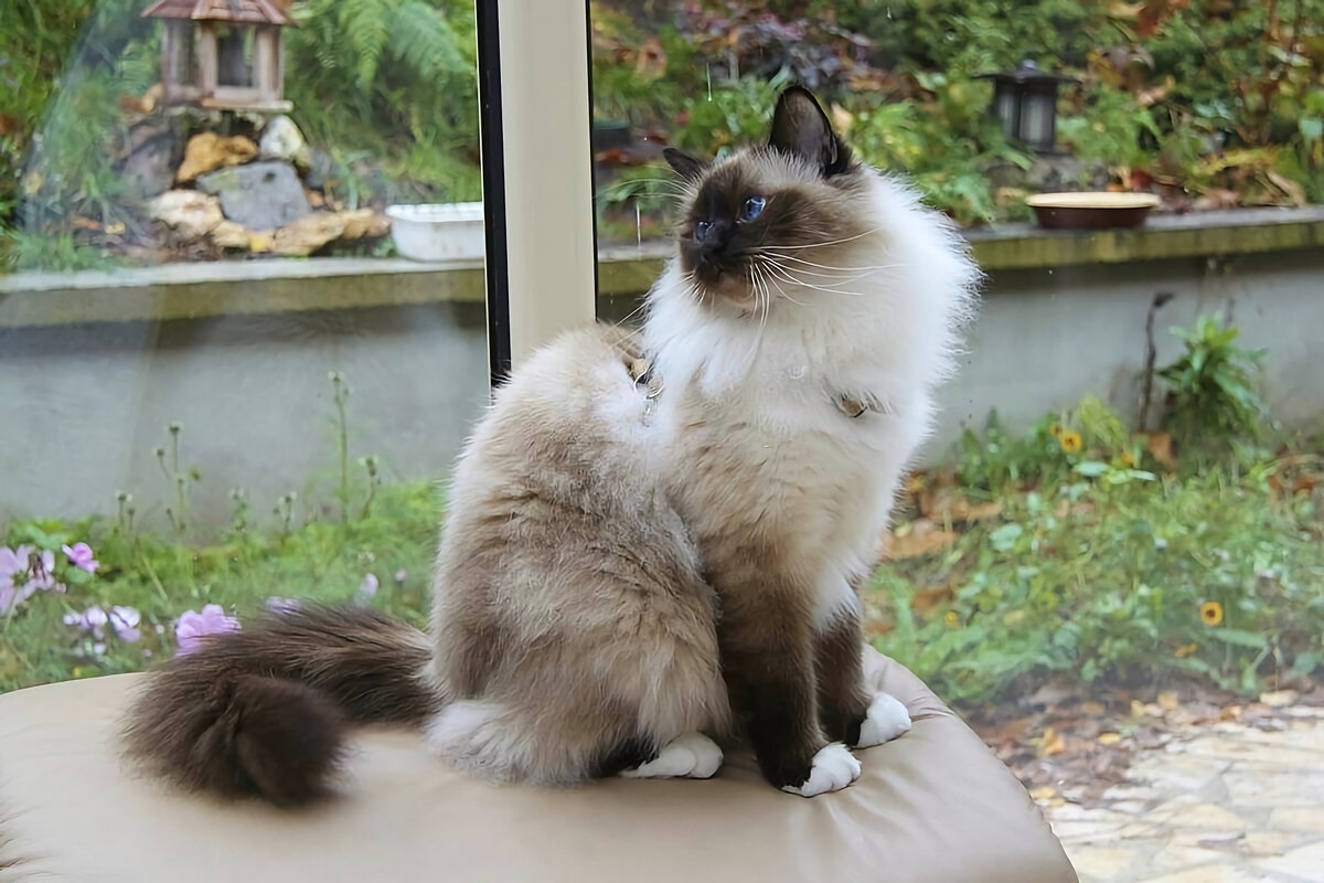 Фото с сайта: https://dzen.ru/a/YLiaX5_vQk_AACz6