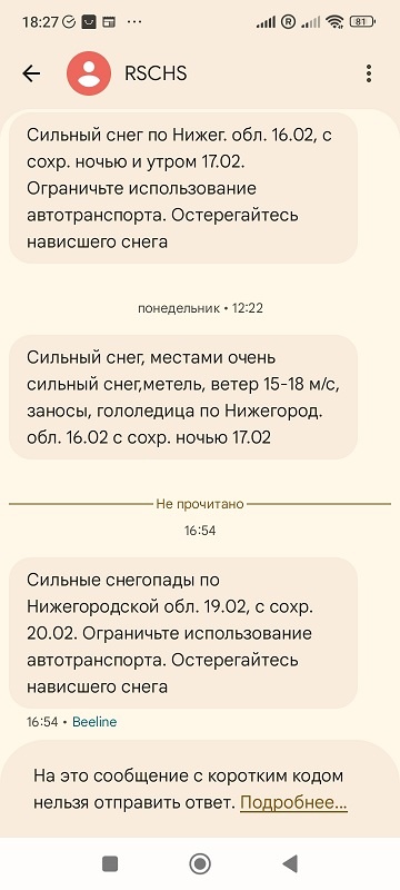 Нижний Новгород, 19 февраля 2026